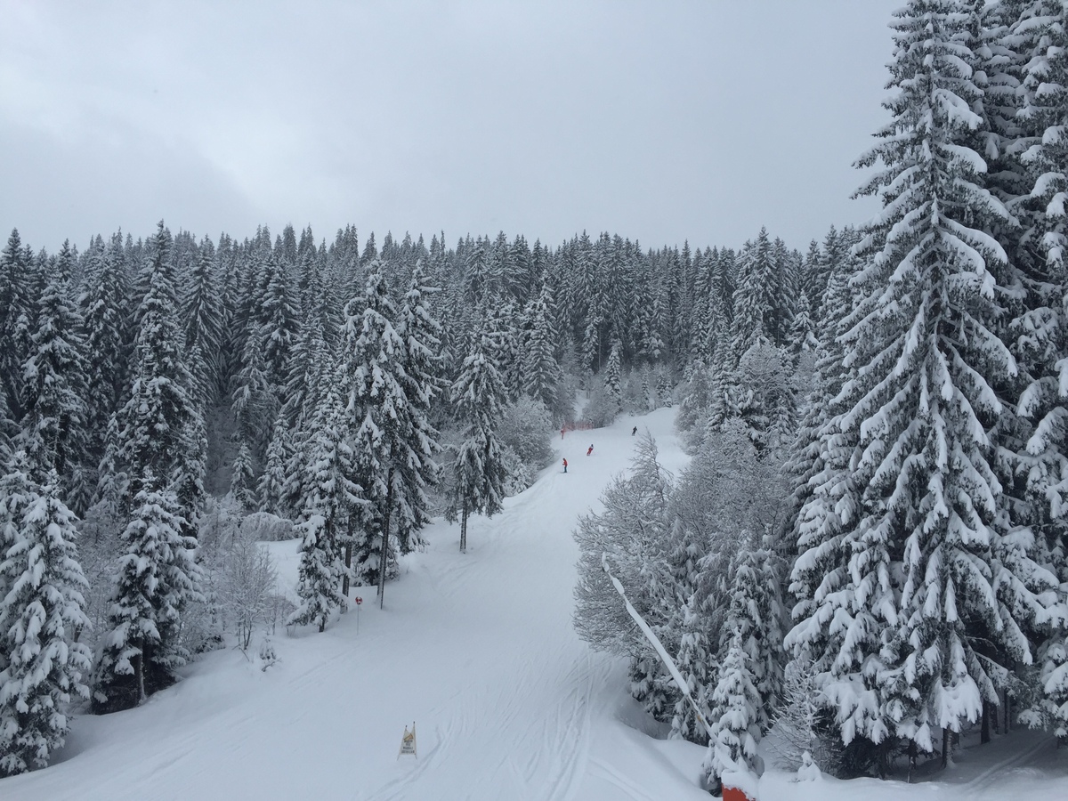 รูปถ่าย ฝรั่งเศส(France) เมแฌฟว์(Megeve) 2016-02 38