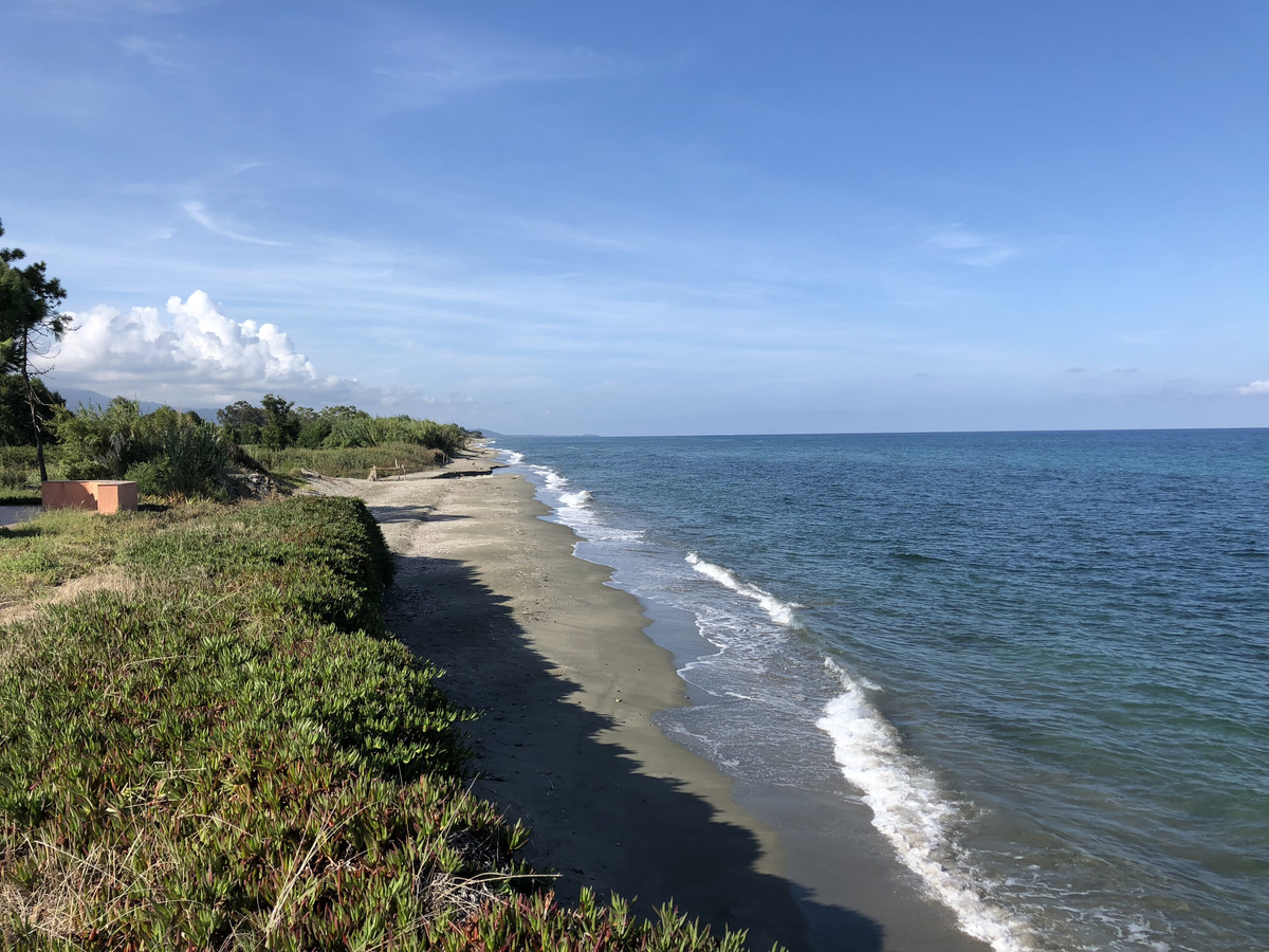 รูปถ่าย ฝรั่งเศส(France) คอร์สิคา(Corsica) ซานจูเลียโน(San Giuliano) 2018-09 20