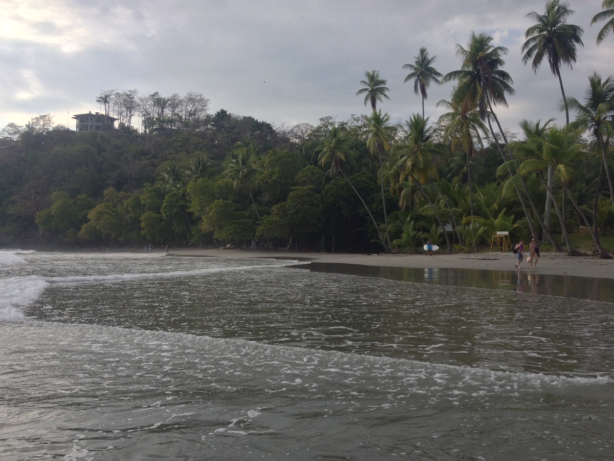 รูปถ่าย คอสตาริกา(Costa Rica) มานวยล์อันโตนีโอ(Manuel Antonio) 2015-03 233