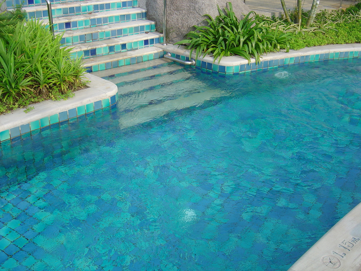 รูปถ่าย ไทย(Thailand) เขาหลัก(Khao Lak) โรงแรมเลอเมอริเดียน เขาหลัก(Meridien Khao Lak Hotel) 2005-12 346
