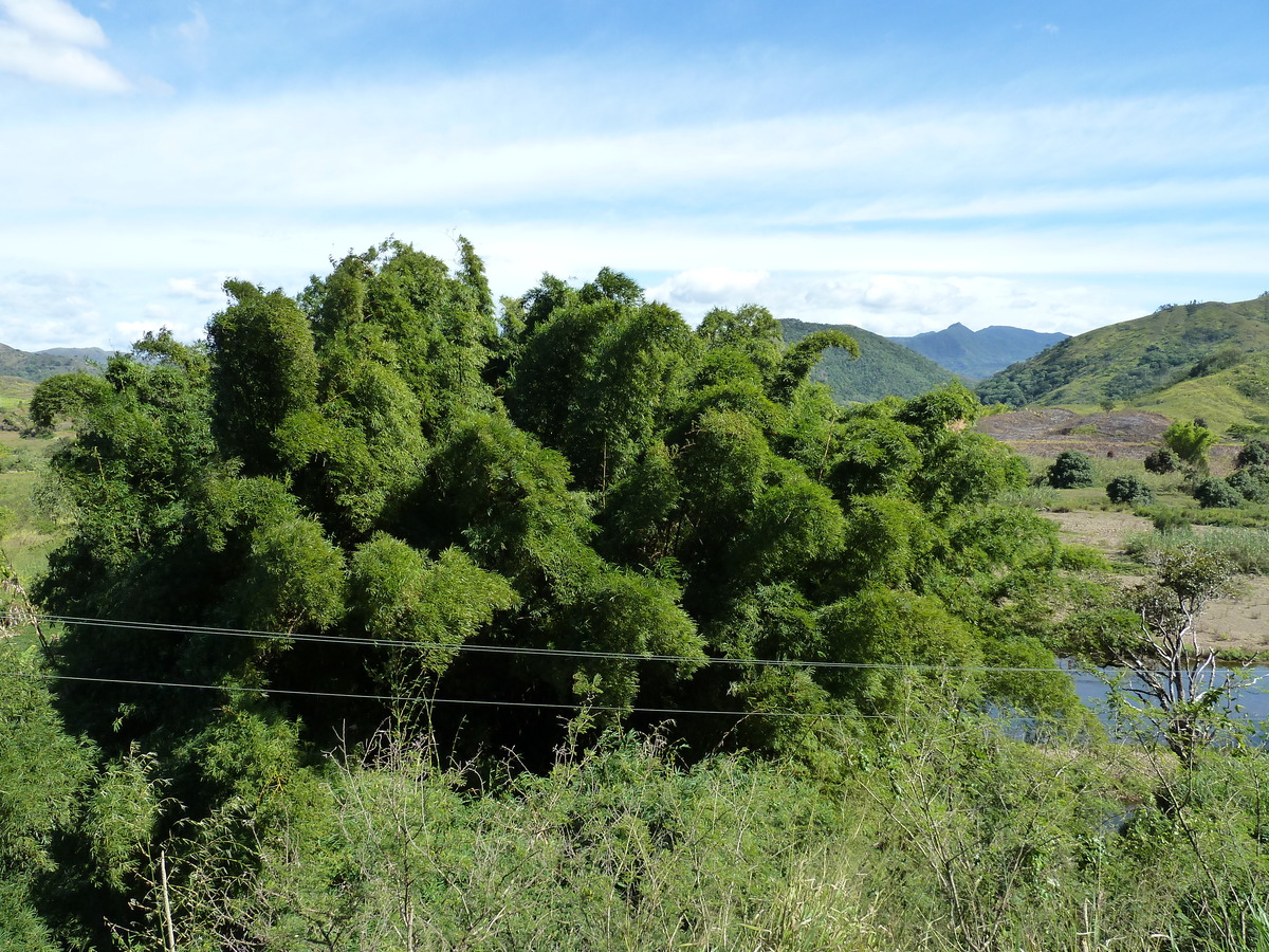 รูปถ่าย นิวแคลิโดเนีย(New Caledonia) ถนนจากตงตูตาไปทีโอ(Tontouta to Thio road) 2010-05 106