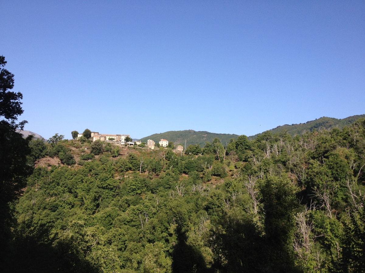 รูปถ่าย ฝรั่งเศส(France) คอร์สิคา(Corsica) เฟลเช(Felce) 2012-09 5