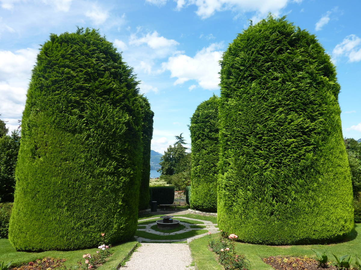 รูปถ่าย อิตาลี(Italy) วิลลาปัลลาวีชีโน(Villa Pallavicino) 2009-06 13