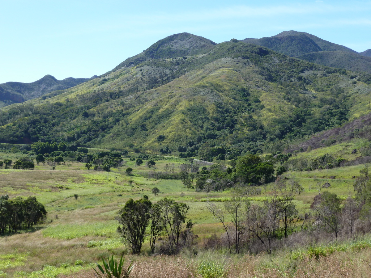 รูปถ่าย นิวแคลิโดเนีย(New Caledonia) ถนนจากตงตูตาไปทีโอ(Tontouta to Thio road) 2010-05 137