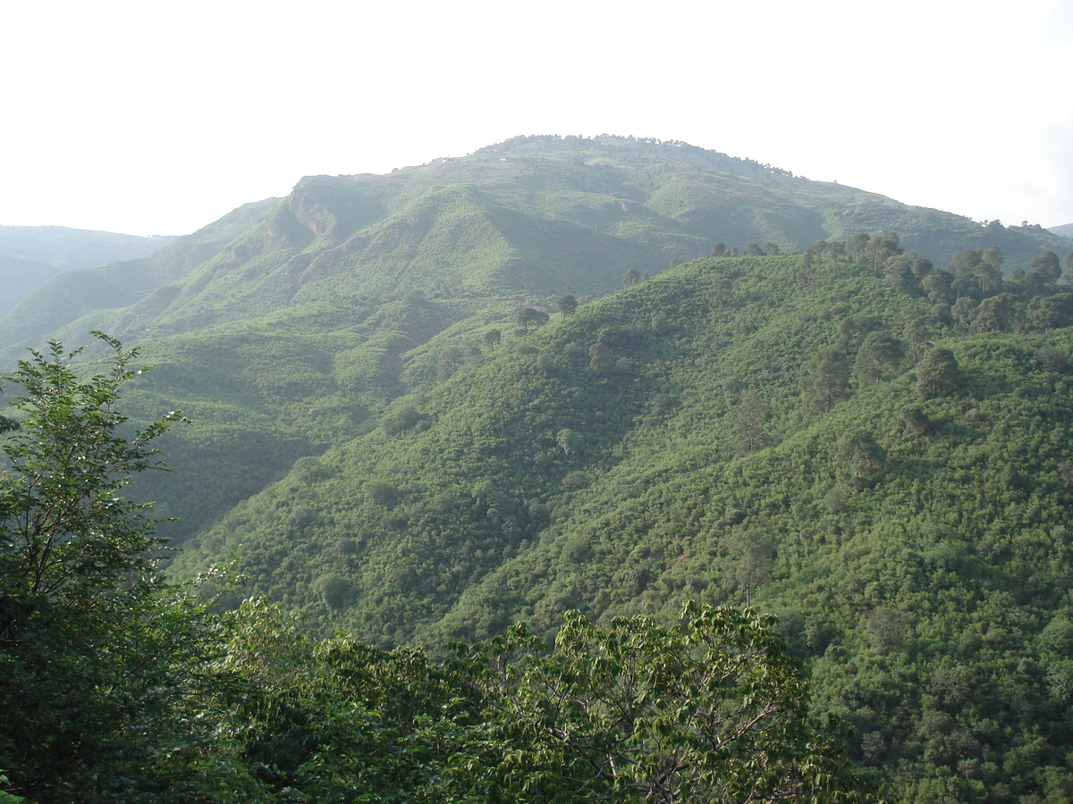 รูปถ่าย ปากีสถาน(Pakistan) ถนนจากอิสลามาบัดไปมัรรี(Islamabad to Murree road) 2006-08 120