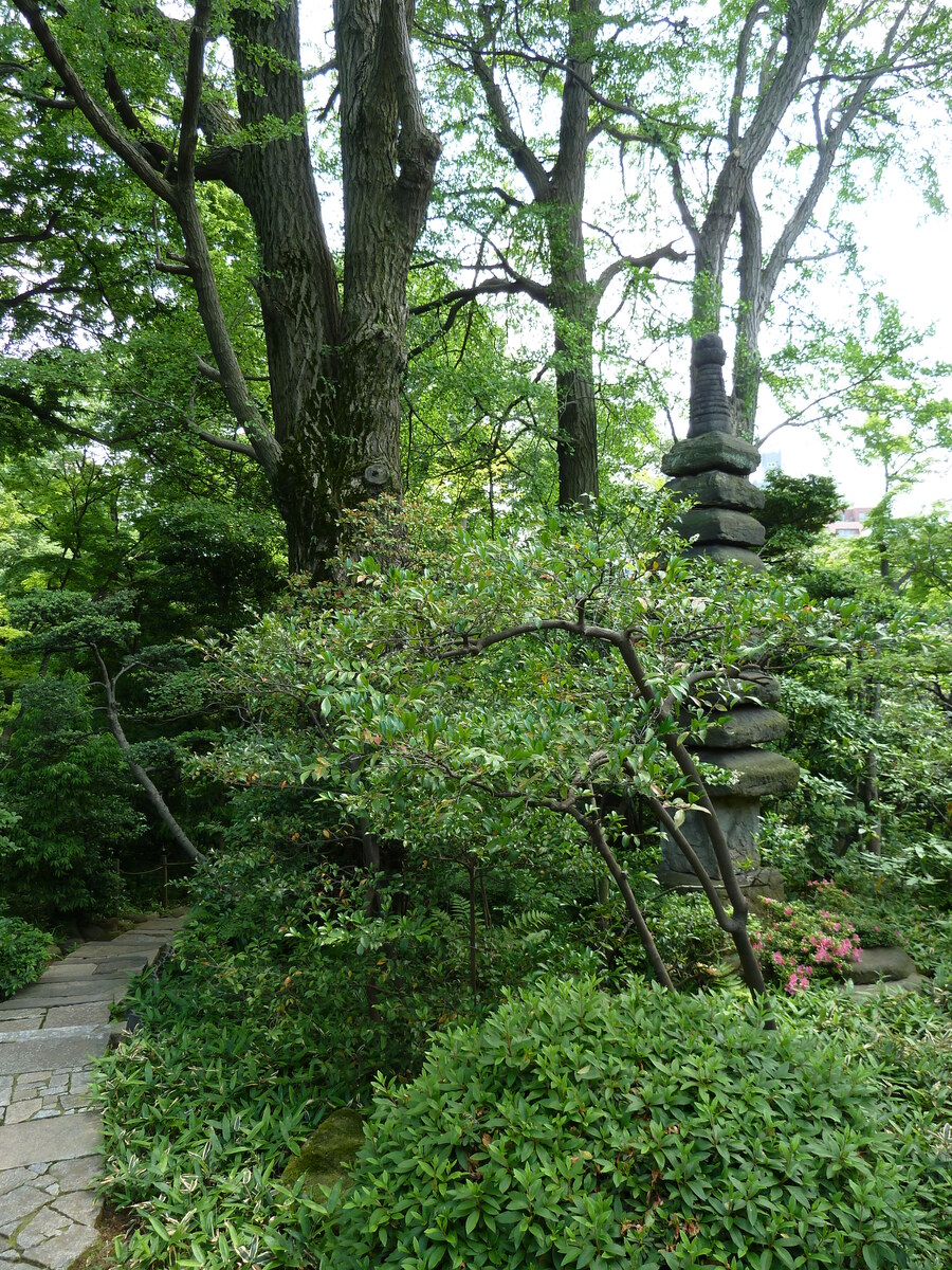 รูปถ่าย ญี่ปุ่น(Japan) โตเกียว(Tokyo) พิพิธภัณฑ์เนซุ(Nezu Museum) 2010-06 7