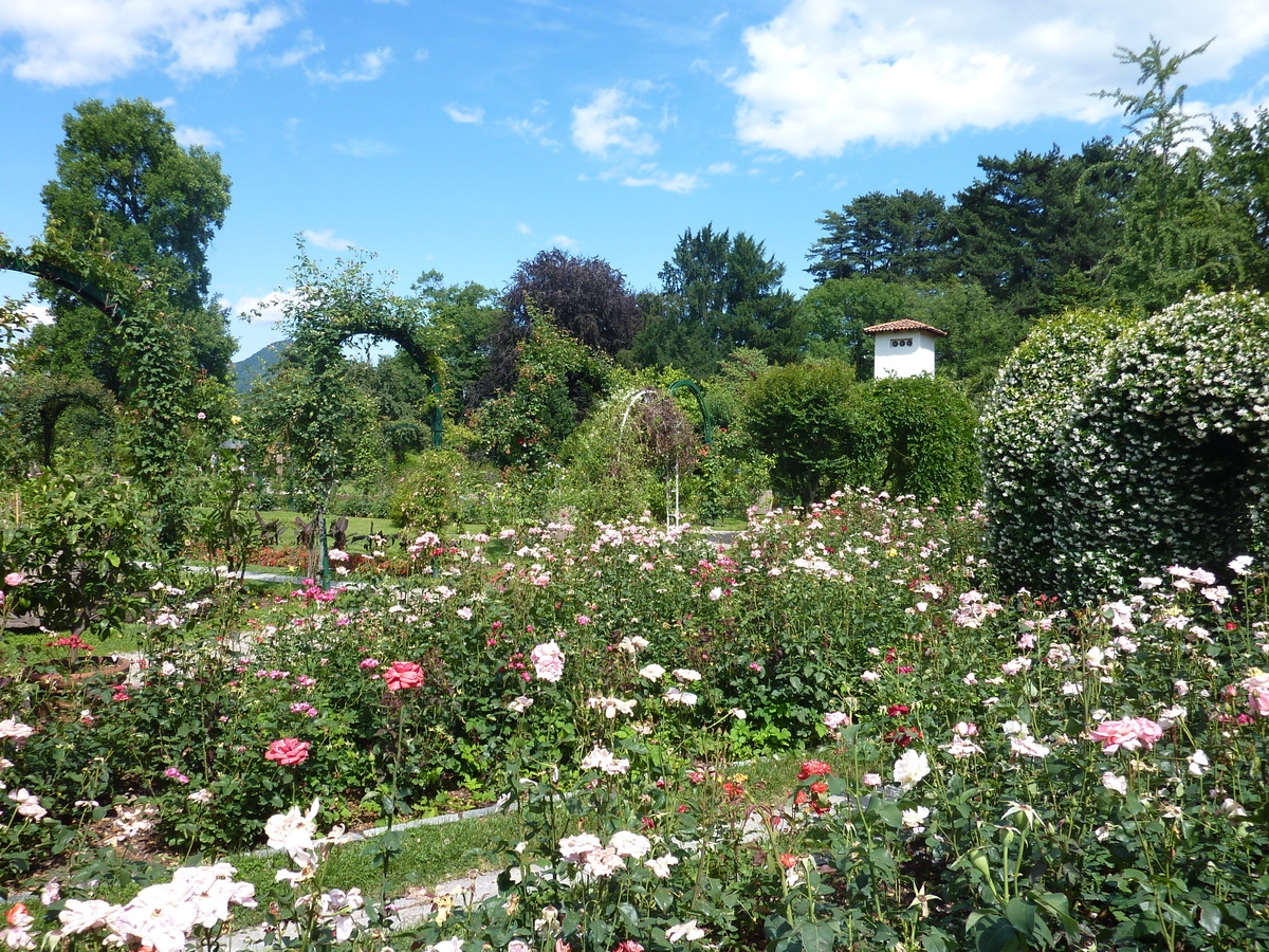รูปถ่าย อิตาลี(Italy) วิลลาปัลลาวีชีโน(Villa Pallavicino) 2009-06 88