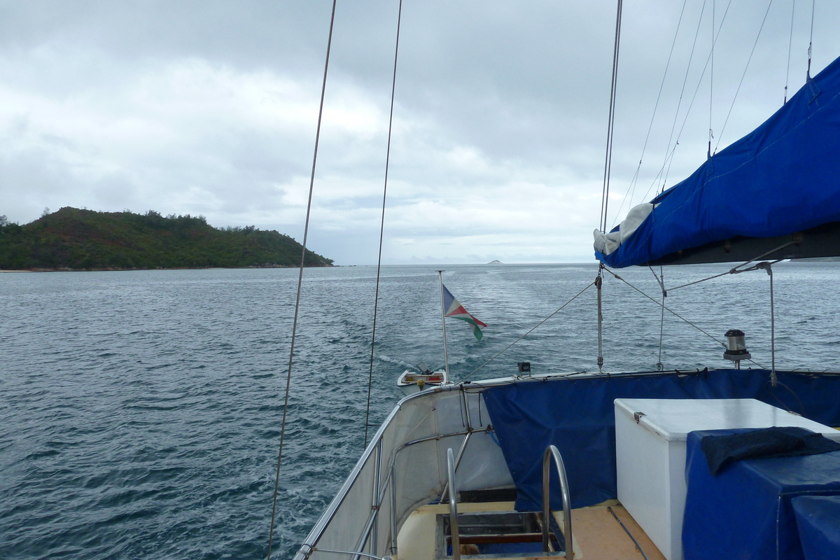 รูปถ่าย เซเชลส์(Seychelles) ซีสตาร์(Sea Star) 2011-10 82