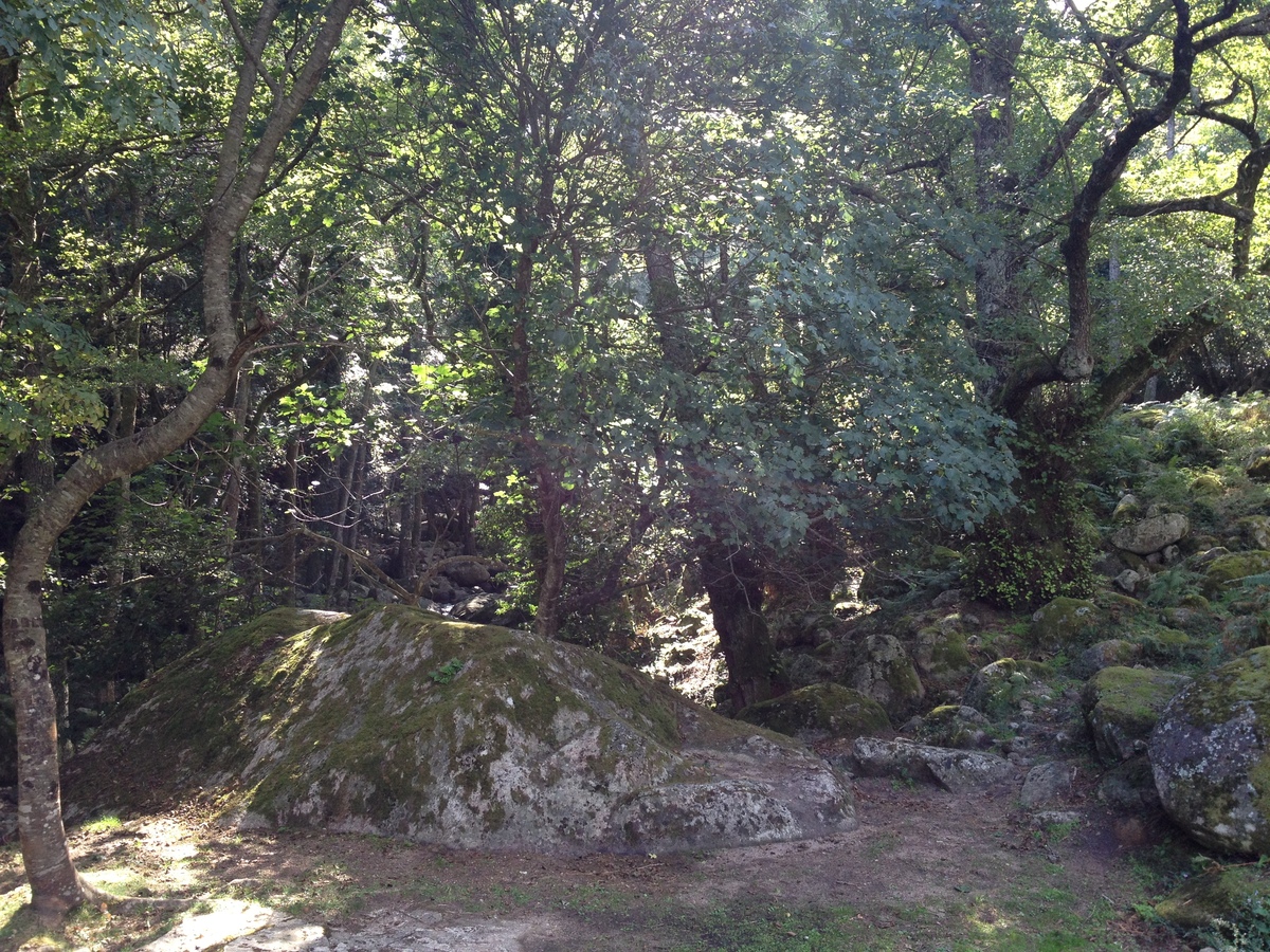 รูปถ่าย ฝรั่งเศส(France) คอร์สิคา(Corsica) บาแวลลา(Bavella) 2012-09 68
