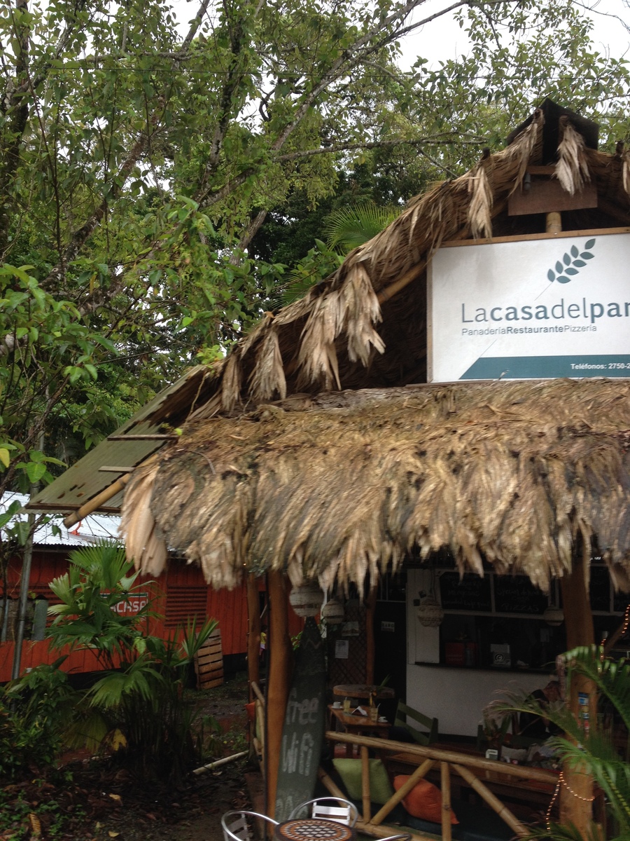 รูปถ่าย คอสตาริกา(Costa Rica) ปวยร์โตเบียโฆเดตาลามังกา(Puerto Viejo de Talamanca) 2015-03 66