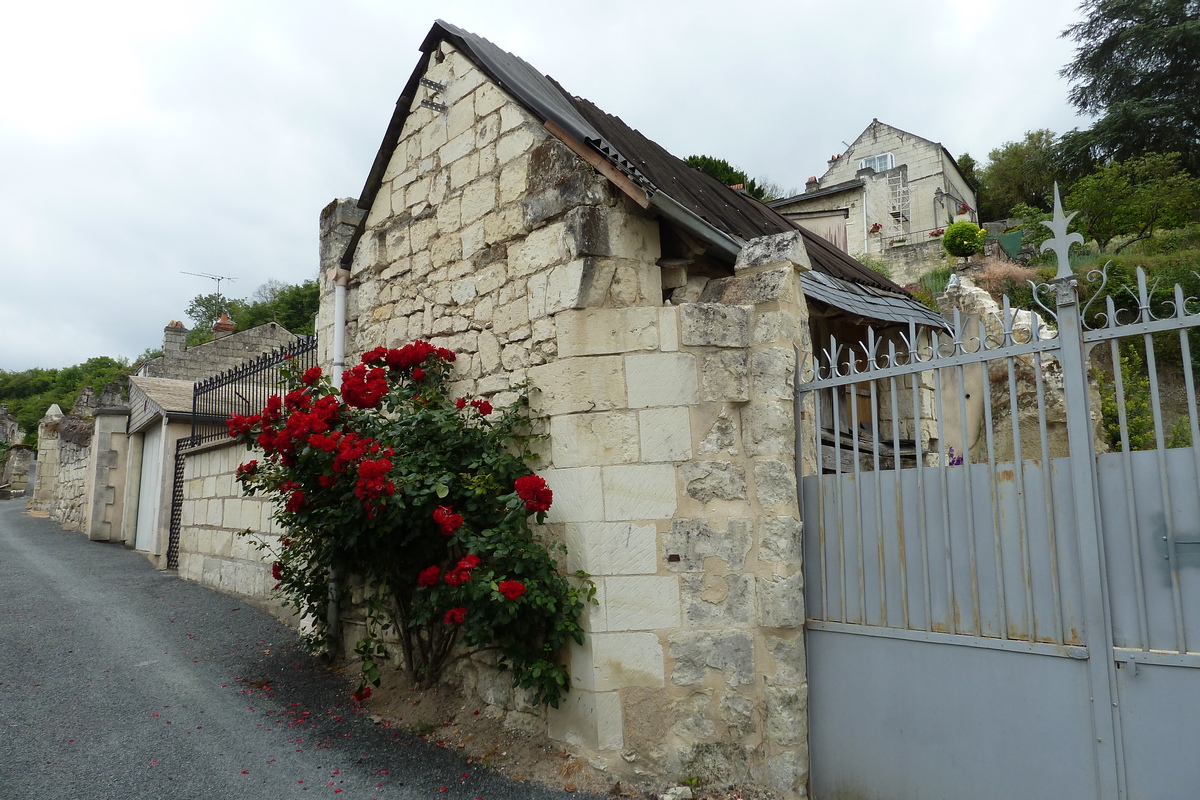รูปถ่าย ฝรั่งเศส(France) ปราสาทมงโซโร(Montsoreau Castle) 2011-05 217