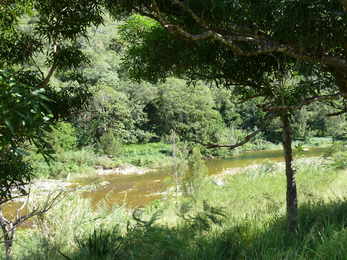 รูปถ่าย นิวแคลิโดเนีย(New Caledonia) ถนนจากตงตูตาไปทีโอ(Tontouta to Thio road) 2010-05 18