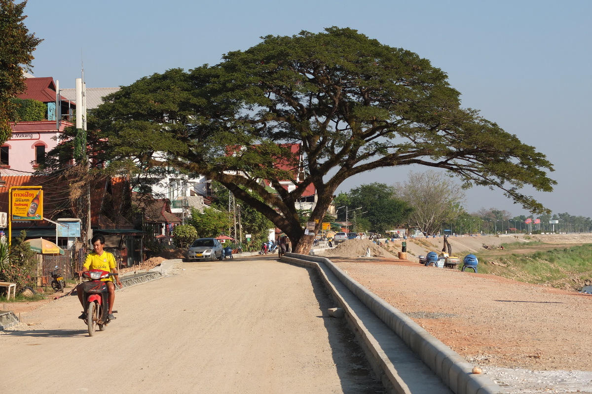 รูปถ่าย ลาว(Laos) เวียงจันทน์(Vientiane) 2012-12 170