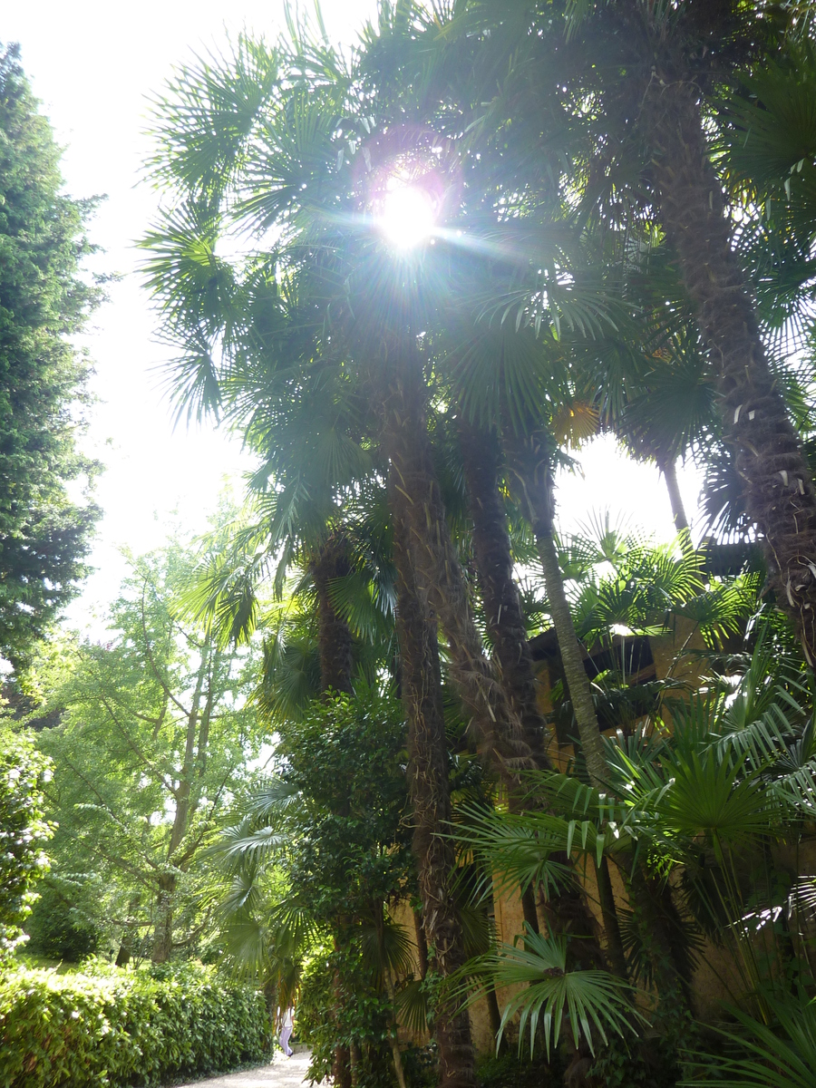 รูปถ่าย อิตาลี(Italy) วิลลาปัลลาวีชีโน(Villa Pallavicino) 2009-06 95