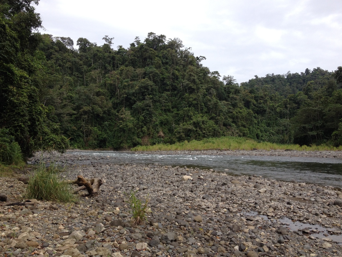 รูปถ่าย คอสตาริกา(Costa Rica) แม่น้ำปากัวเร(Pacuare River) 2015-03 181