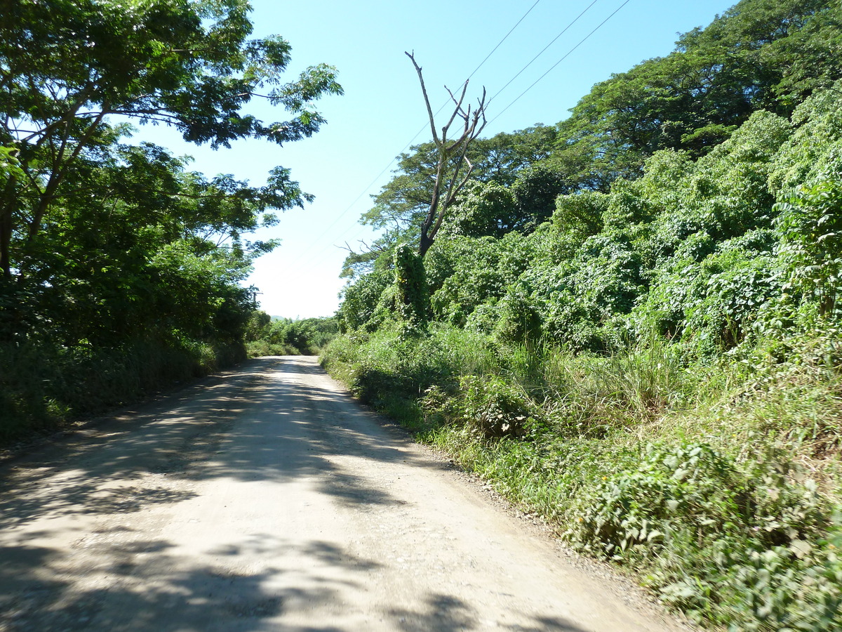รูปถ่าย ฟิจิ(Fiji) แม่น้ำซิงกาโตกา(Sigatoka river) 2010-05 36