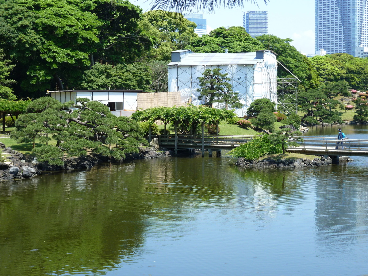 รูปถ่าย ญี่ปุ่น(Japan) โตเกียว(Tokyo) สวนฮามะริคิว(Hama rikyu Gardens) 2010-06 88