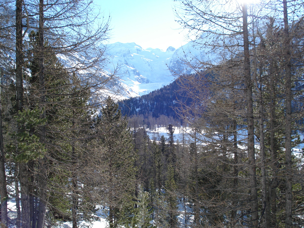รูปถ่าย สวิสเซอร์แลนด์(Switzerland) จากปอนเตรซีนาไปลาโกเบียนโก(From Pontresina to Lago Bianco) 2007-01 47