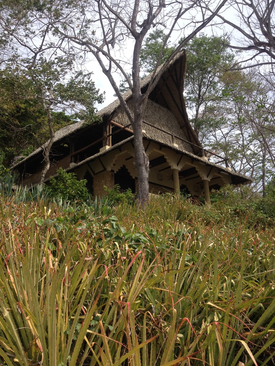 รูปถ่าย คอสตาริกา(Costa Rica) มอนเตซูมา(Montezuma) 2015-03 7