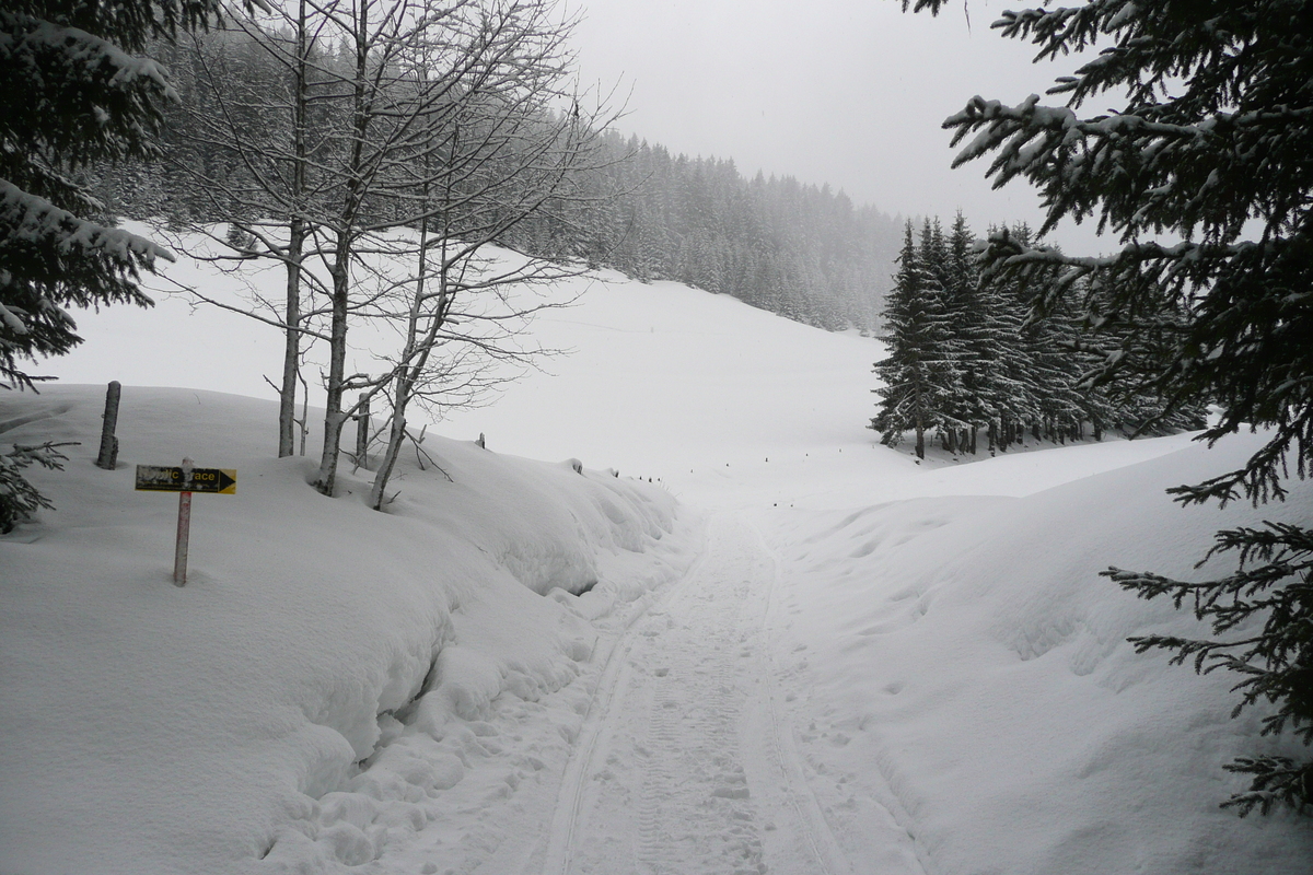รูปถ่าย ฝรั่งเศส(France) เมแฌฟว์(Megeve) เลอปลาเน(Le Planay) 2010-02 13
