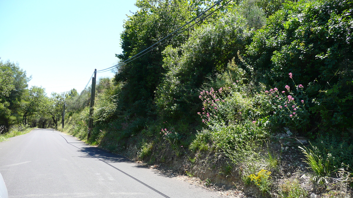 รูปถ่าย ฝรั่งเศส(France) ลาโกด(La Gaude) 2007-07 96