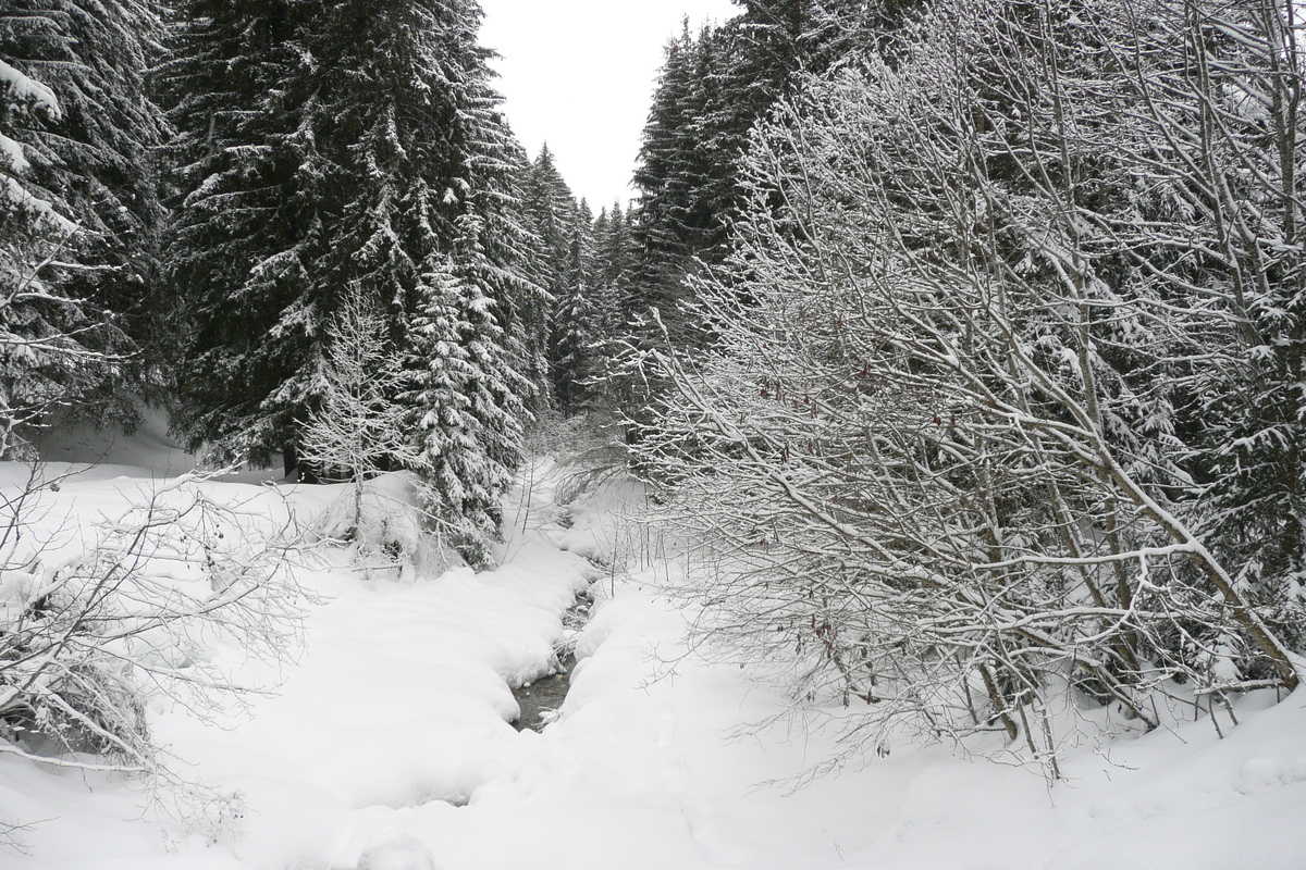 รูปถ่าย ฝรั่งเศส(France) เมแฌฟว์(Megeve) เลอปลาเน(Le Planay) 2010-02 30