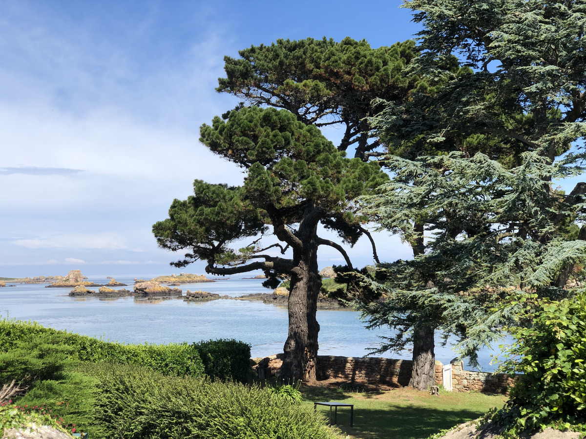 รูปถ่าย ฝรั่งเศส(France) เกาะเบรอา(Brehat Island) 2020-06 207