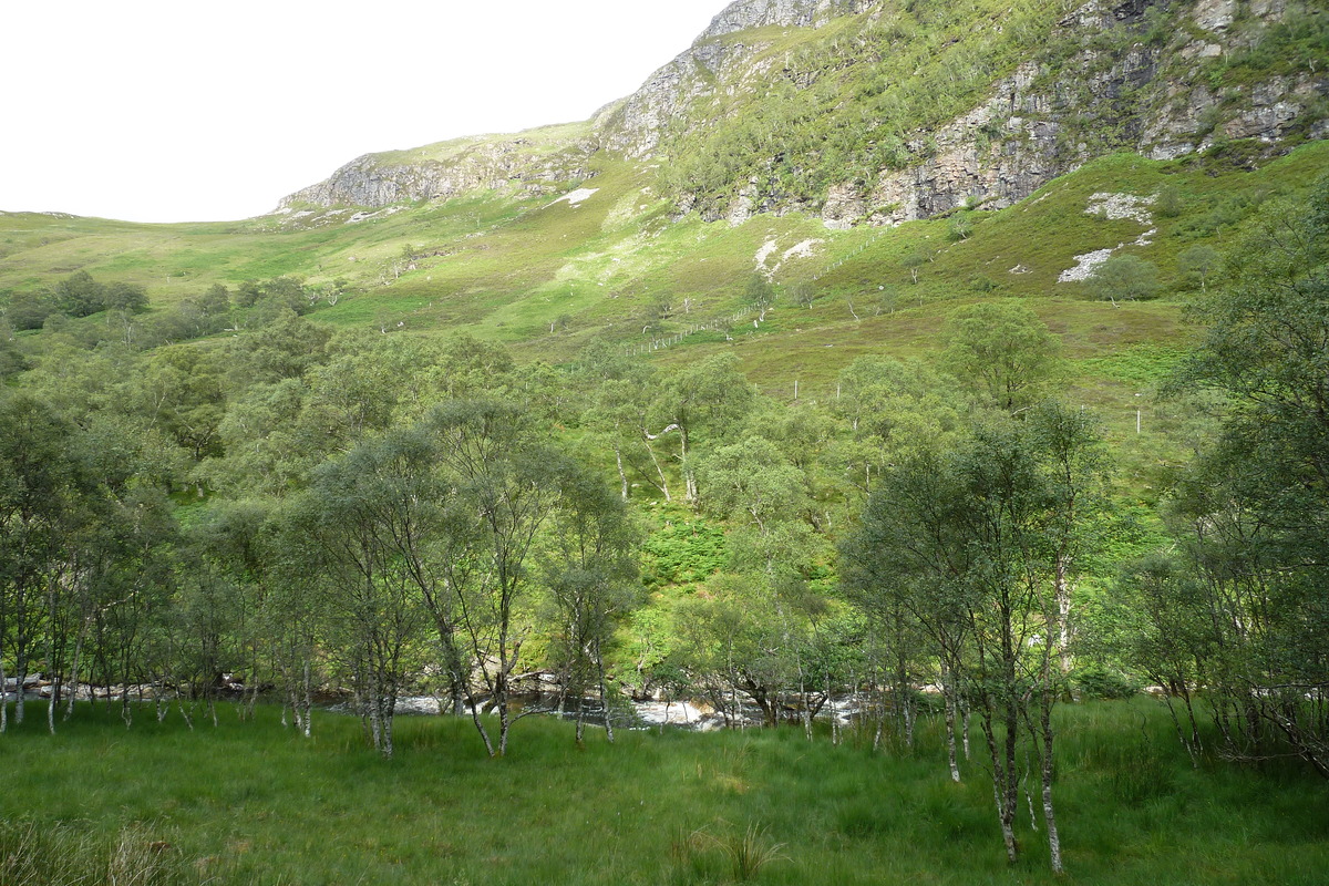 รูปถ่าย อังกฤษ(United Kingdom) เวสเตอร์รอสส์(Wester Ross) 2011-07 119