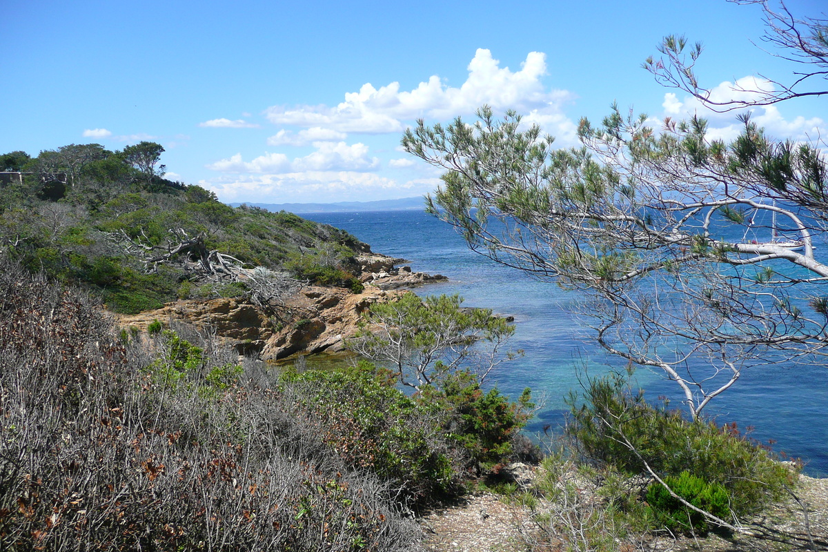 รูปถ่าย ฝรั่งเศส(France) เกาะปอร์เกอรอล(Porquerolles Island) แหลมเลอแก็ง(Pointe du Lequin) 2008-05 62