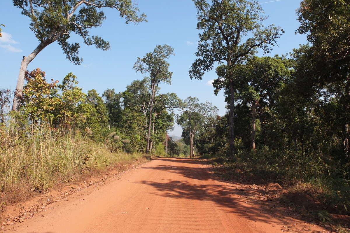 รูปถ่าย ไทย(Thailand) แม่น้ำโขง(Mekong river) 2012-12 9