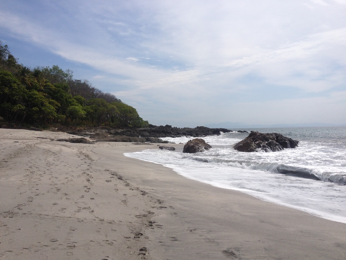 รูปถ่าย คอสตาริกา(Costa Rica) มอนเตซูมา(Montezuma) 2015-03 55