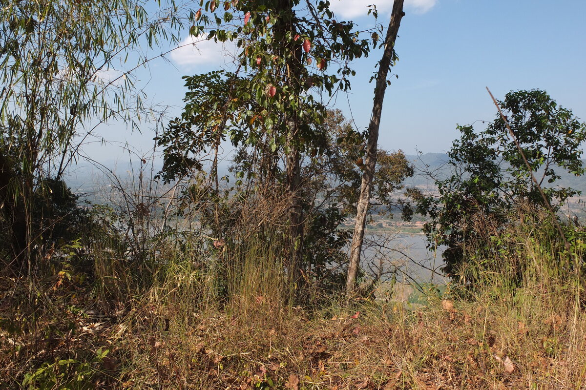 รูปถ่าย ไทย(Thailand) แม่น้ำโขง(Mekong river) 2012-12 2