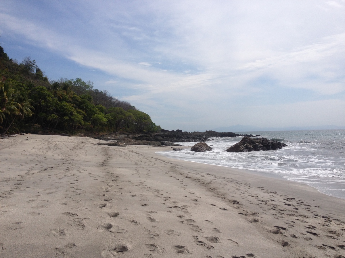 รูปถ่าย คอสตาริกา(Costa Rica) มอนเตซูมา(Montezuma) 2015-03 21