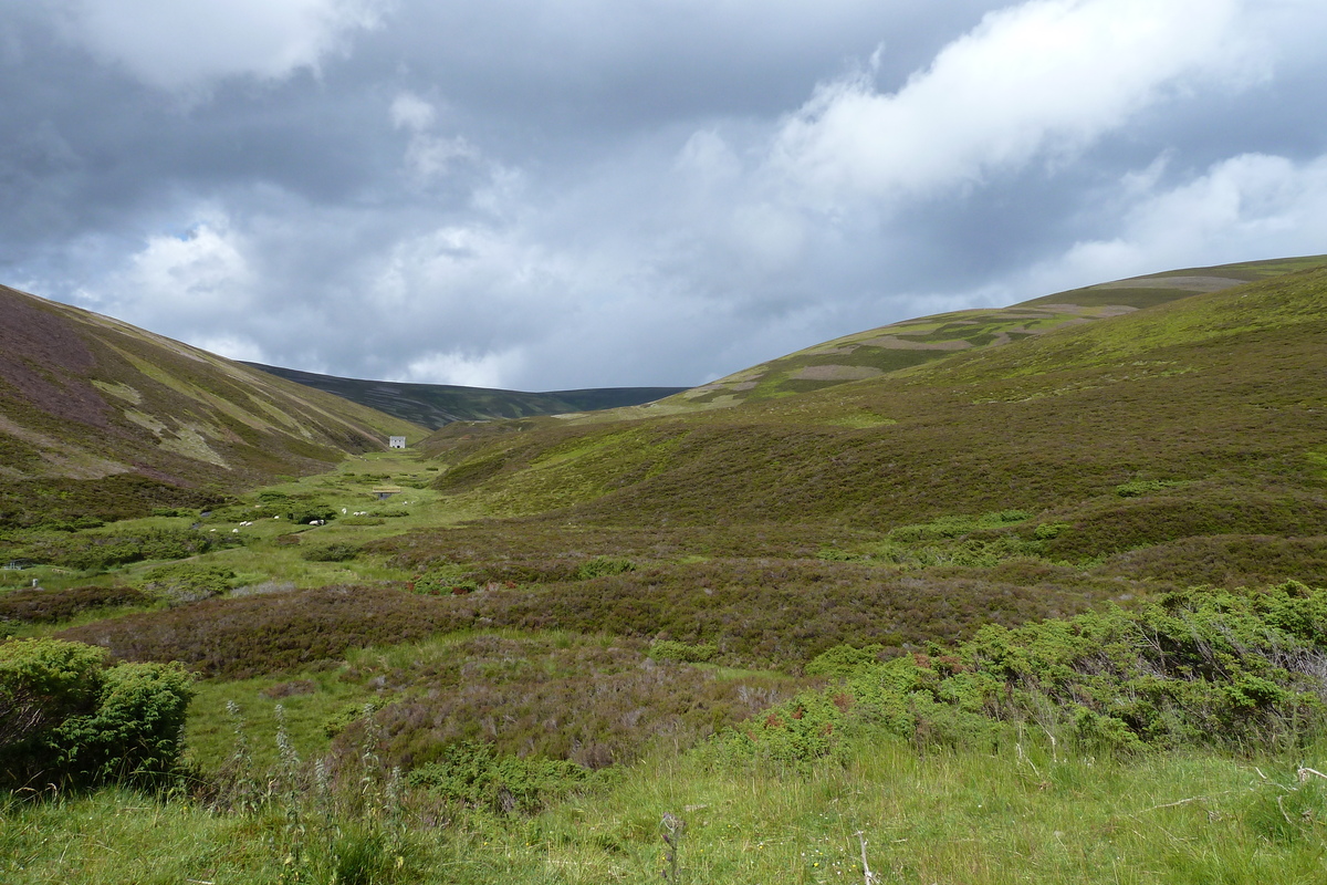 รูปถ่าย อังกฤษ(United Kingdom) อุทยานแห่งชาติแคร์นกอร์มส์(Cairngorms National Park) 2011-07 13