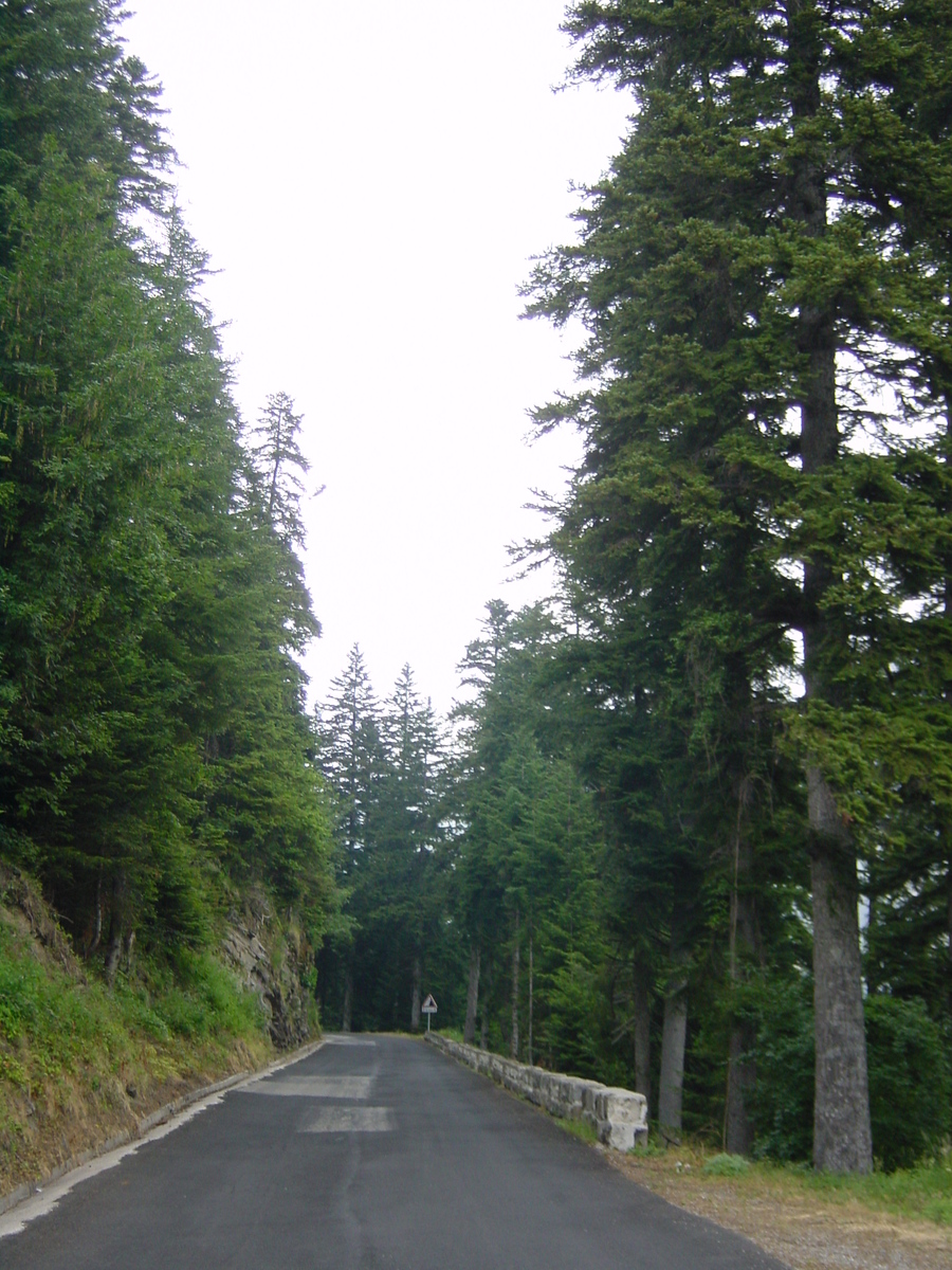 รูปถ่าย ฝรั่งเศส(France) แมร์กองตูร์(Mercantour) 2003-07 49