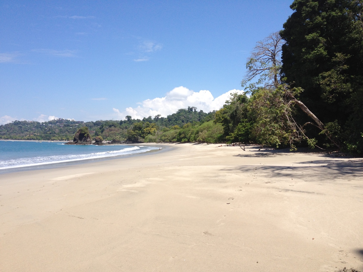 รูปถ่าย คอสตาริกา(Costa Rica) มานวยล์อันโตนีโอ(Manuel Antonio) 2015-03 313