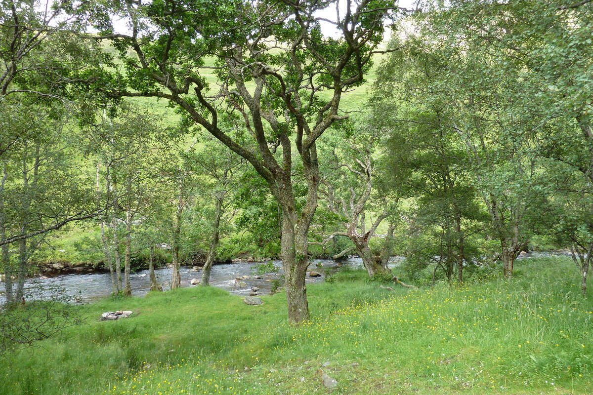 รูปถ่าย อังกฤษ(United Kingdom) เวสเตอร์รอสส์(Wester Ross) 2011-07 111