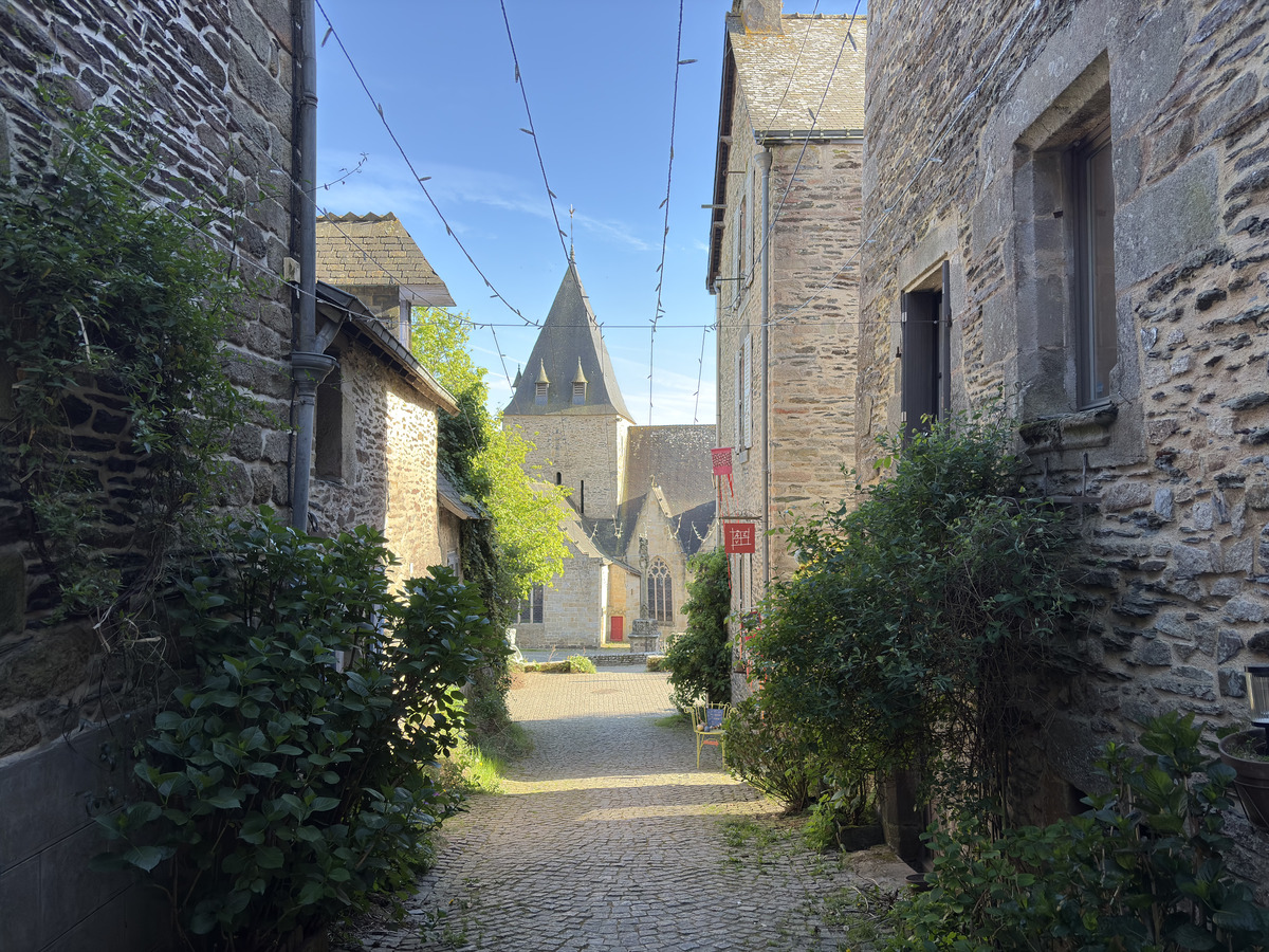 รูปถ่าย ฝรั่งเศส(France) รอชฟอร์-อ็อง-แตร์(Rochefort en terre) 2026-04 70