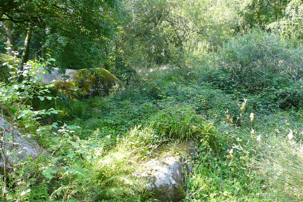 รูปถ่าย ฝรั่งเศส(France) อูแอลโกแอท(Huelgoat) 2007-08 38