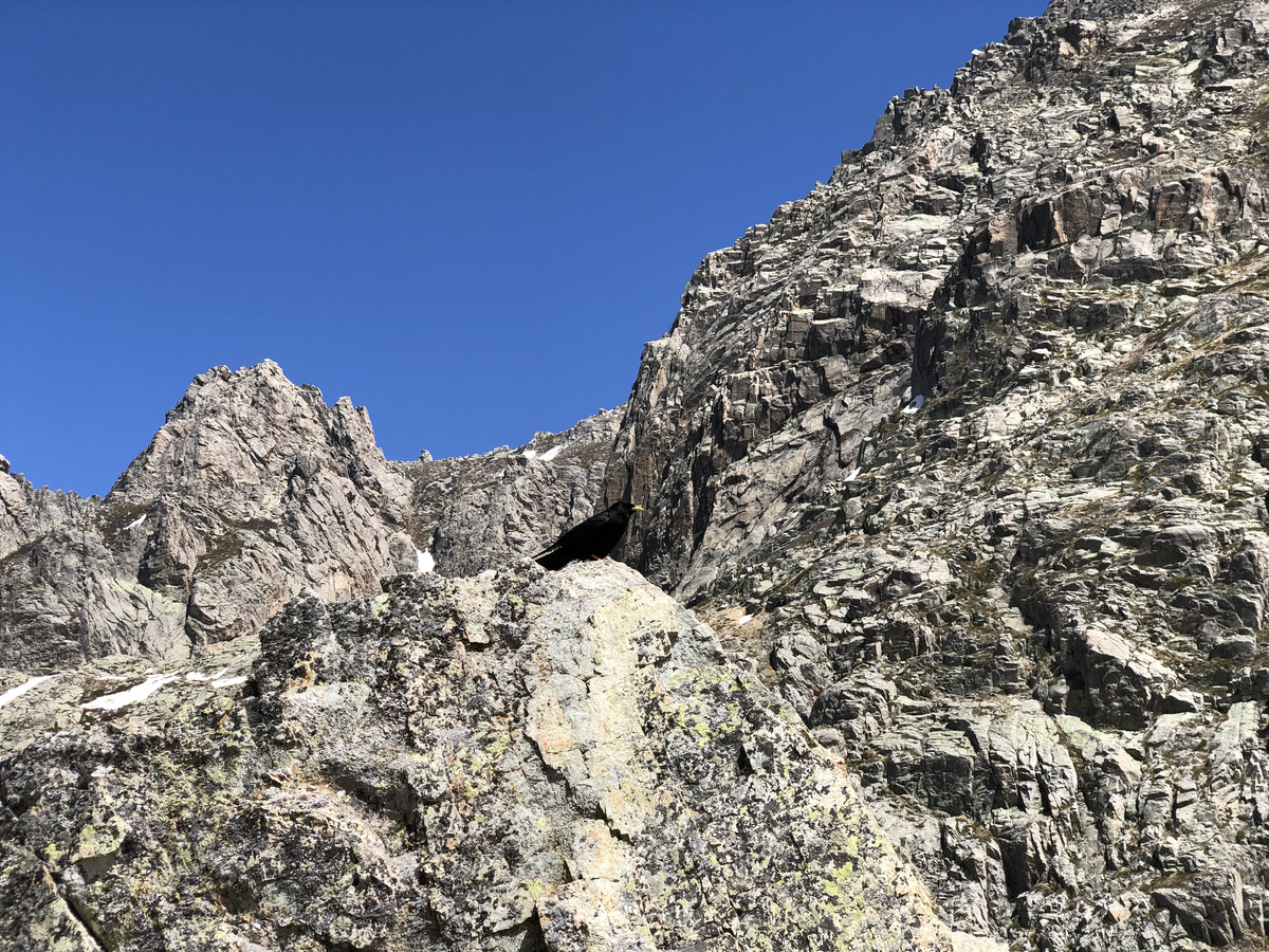 รูปถ่าย ฝรั่งเศส(France) คอร์สิคา(Corsica) ทะเลสาบเมโลและกาปีเตลโล(Lac de Melo et Capitello) 2021-06 107