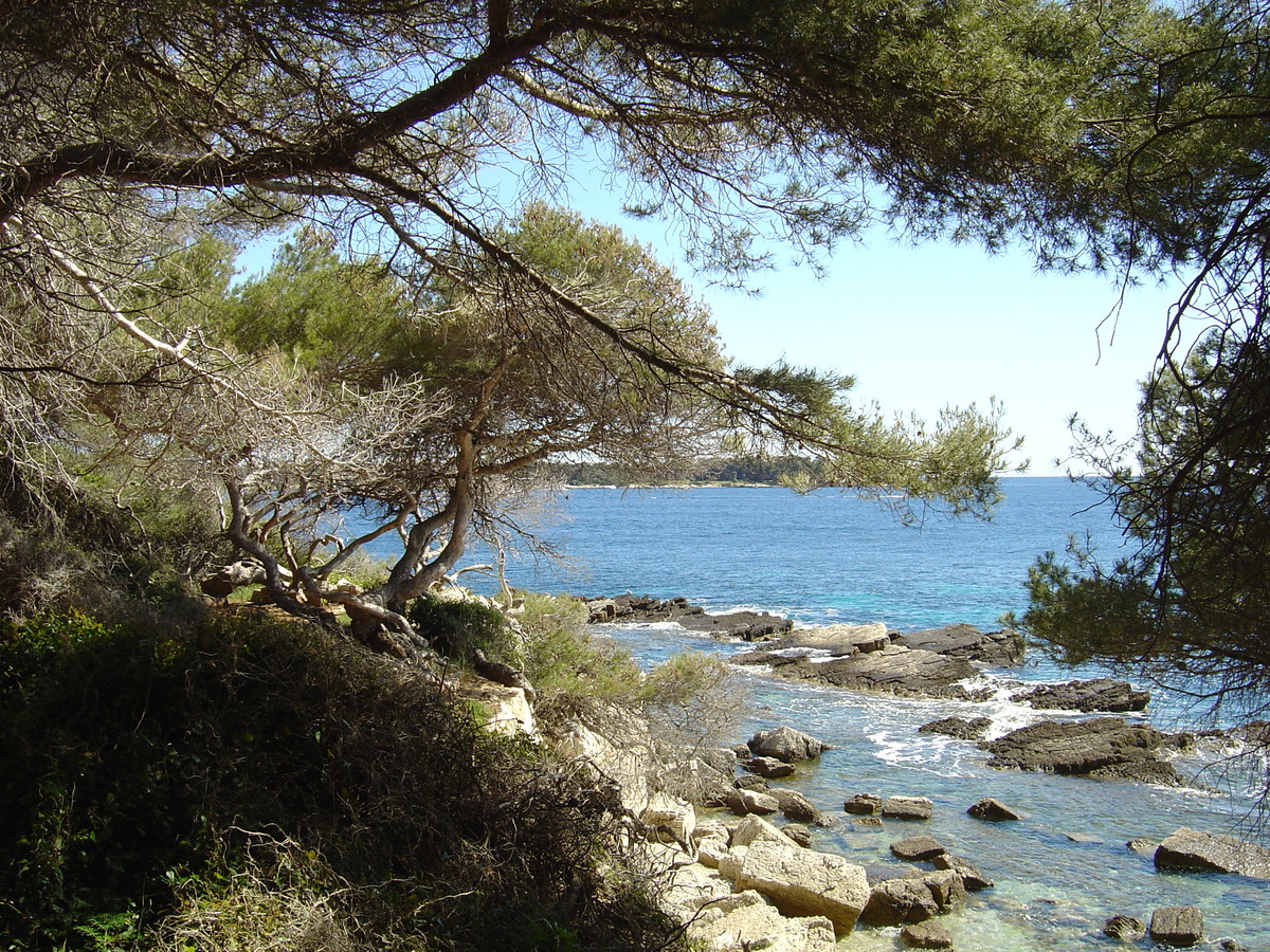 รูปถ่าย ฝรั่งเศส(France) คานส์(Cannes) เกาะแซ็งต์-มาร์เกอริต(Sainte Marguerite) 2004-05 32