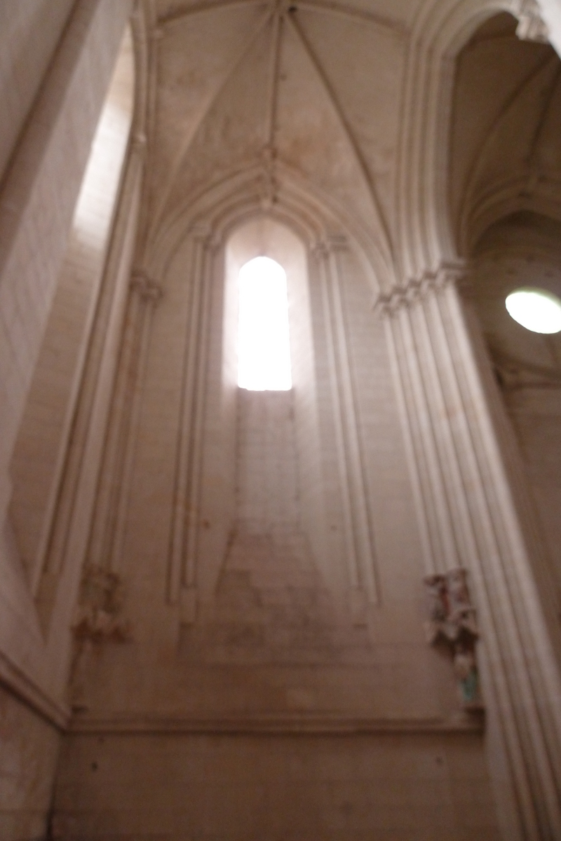 รูปถ่าย ฝรั่งเศส(France) ก็องด์(Candes) 2011-05 17