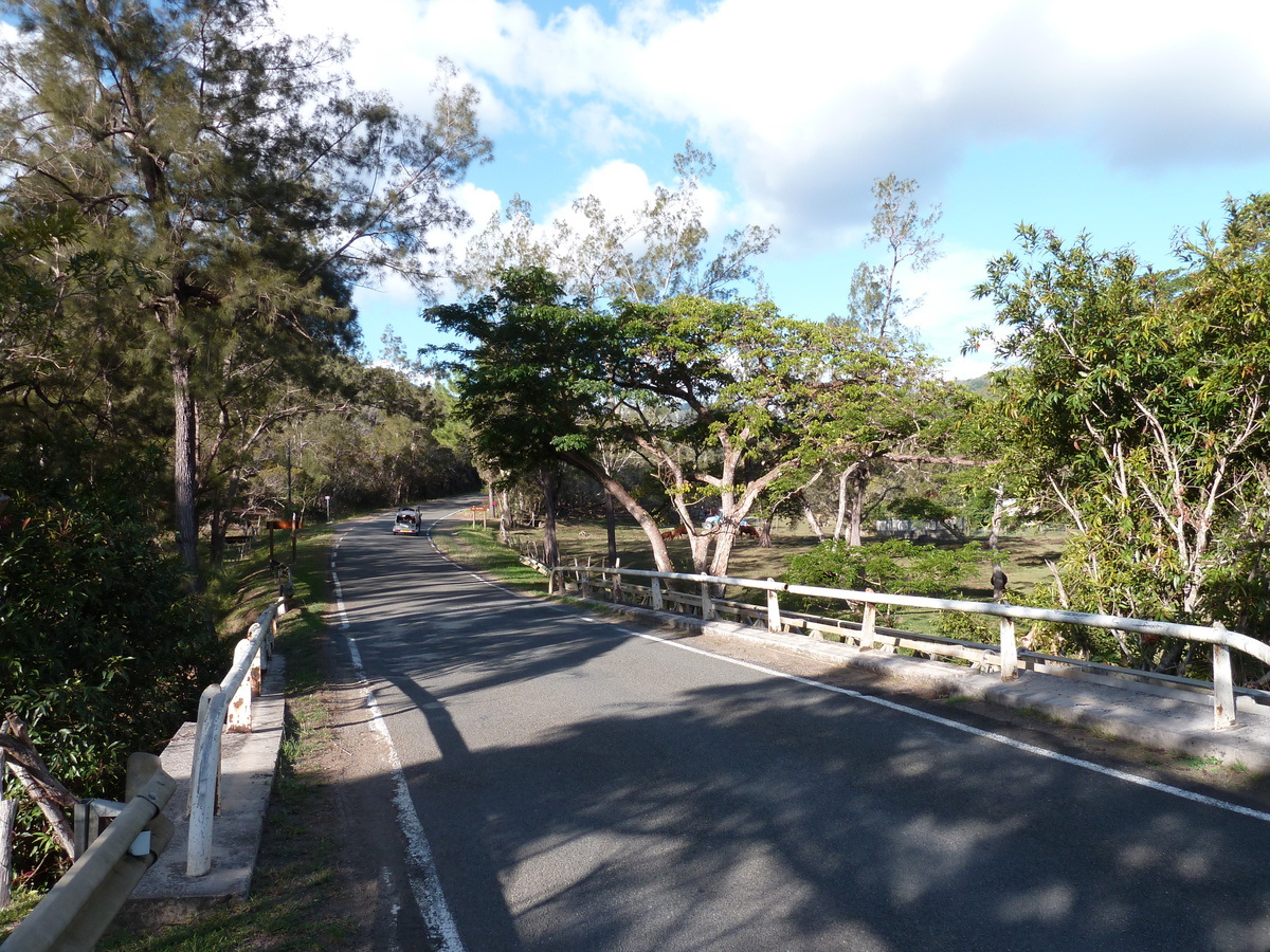 รูปถ่าย นิวแคลิโดเนีย(New Caledonia) ถนนจากกานาลาไปลาฟัว(Canala to La Foa road) 2010-05 61