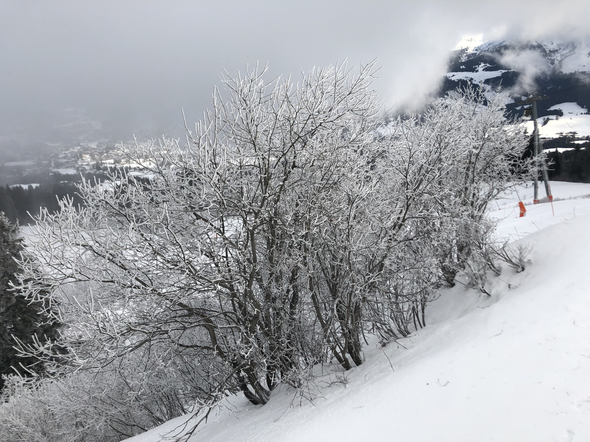 รูปถ่าย ฝรั่งเศส(France) เมแฌฟว์(Megeve) 2018-12 8