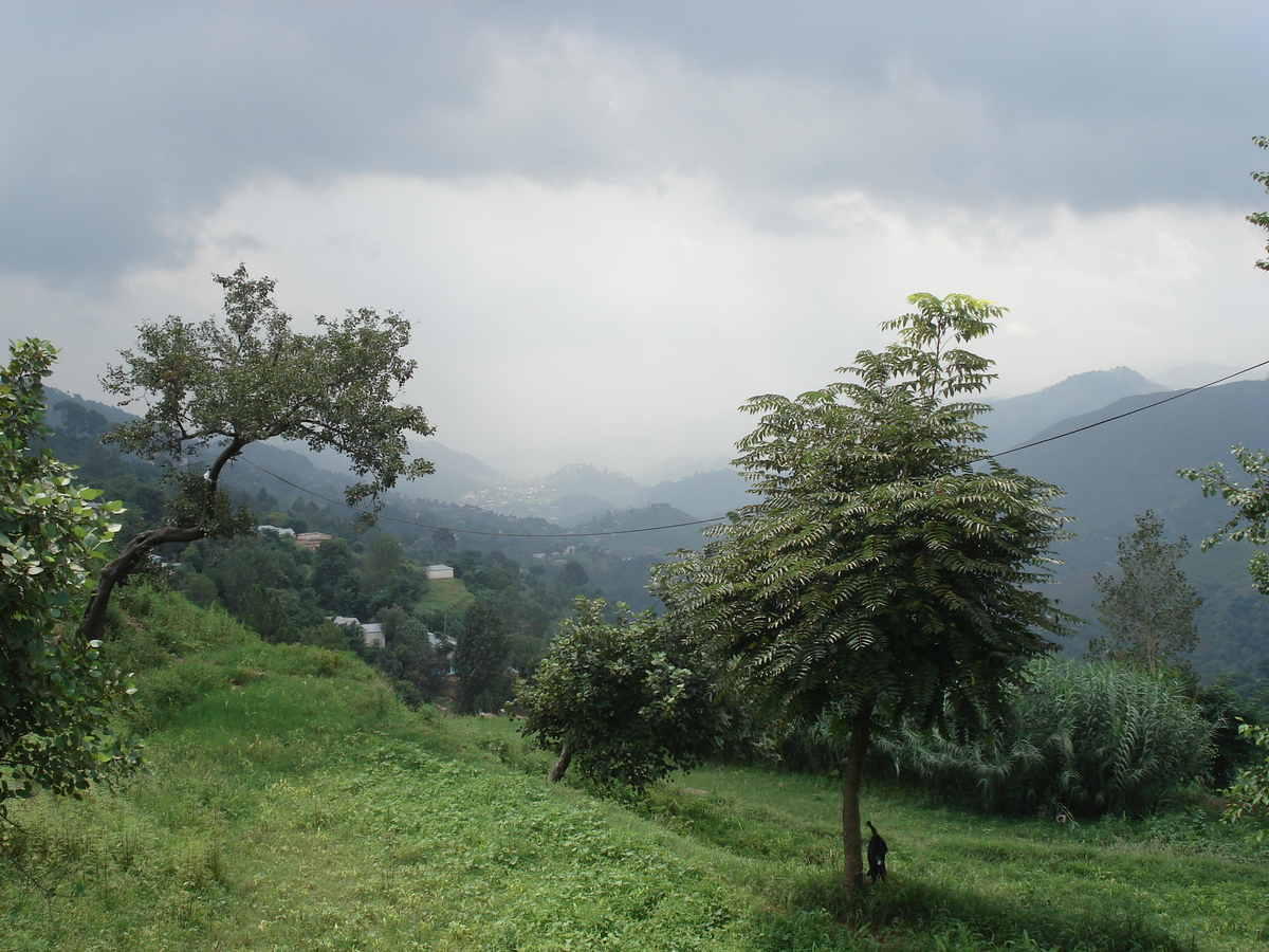 รูปถ่าย ปากีสถาน(Pakistan) ถนนจากอิสลามาบัดไปมัรรี(Islamabad to Murree road) 2006-08 42