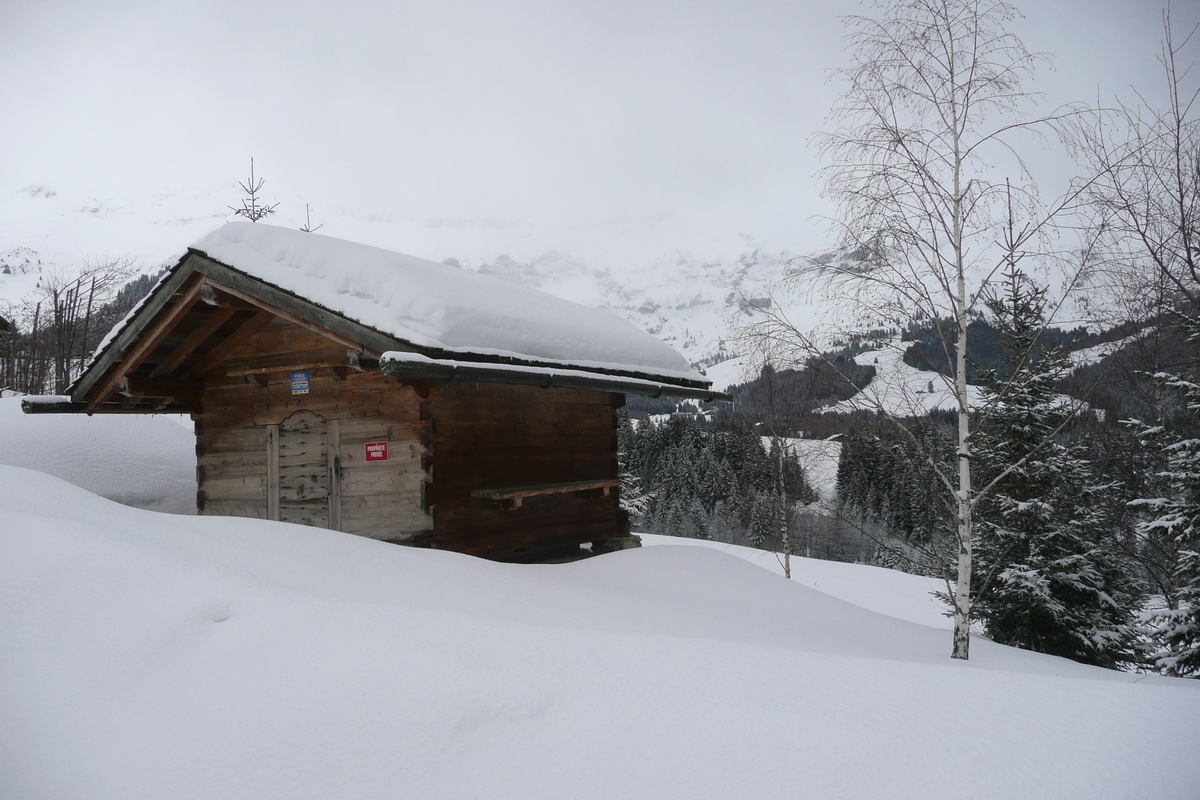 รูปถ่าย ฝรั่งเศส(France) เมแฌฟว์(Megeve) เลอปลาเน(Le Planay) 2010-02 11