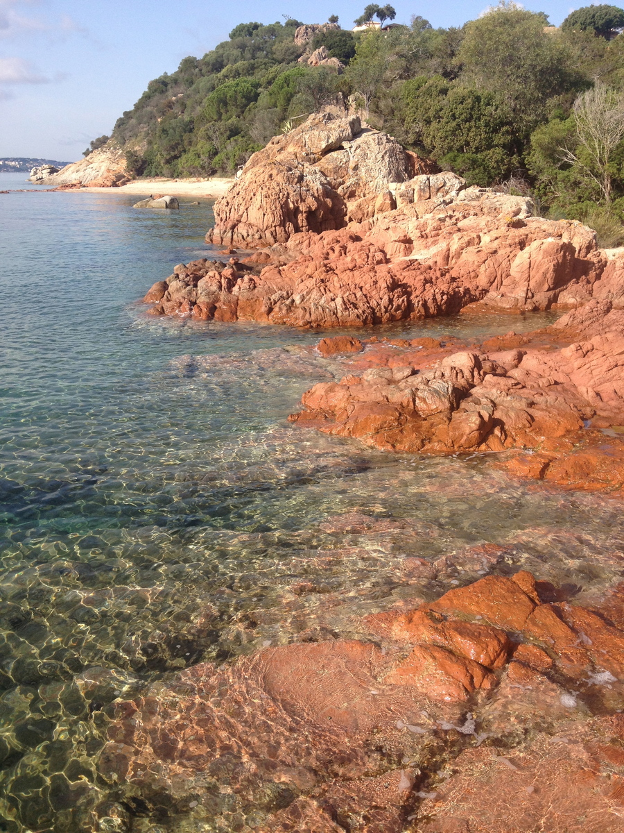 รูปถ่าย ฝรั่งเศส(France) คอร์สิคา(Corsica) อ่าวกาลารอสซา(Cala Rossa) 2012-09 22