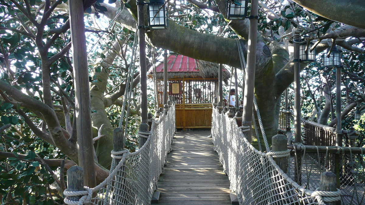 รูปถ่าย ฝรั่งเศส(France) ดิสนีย์แลนด์ปารีส(Disneyland Paris) บ้านต้นไม้โรบินสัน(La Cabane des Robinson) 2007-07 14