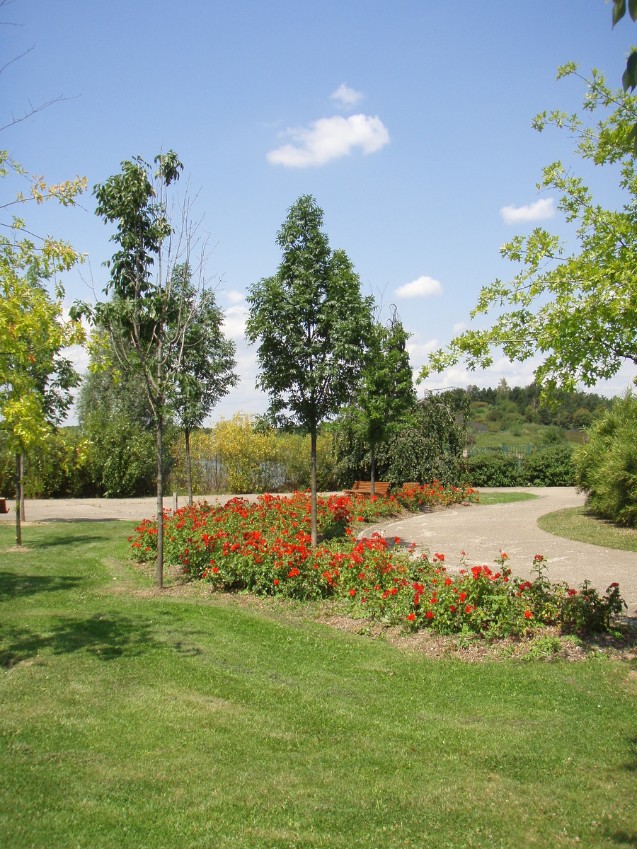 รูปถ่าย ฝรั่งเศส(France) วีลเนิฟ-ลา-การาน(Villeneuve La Garenne) สวนช็องเตอแรน(Parc des Chanteraines) 2007-07 1