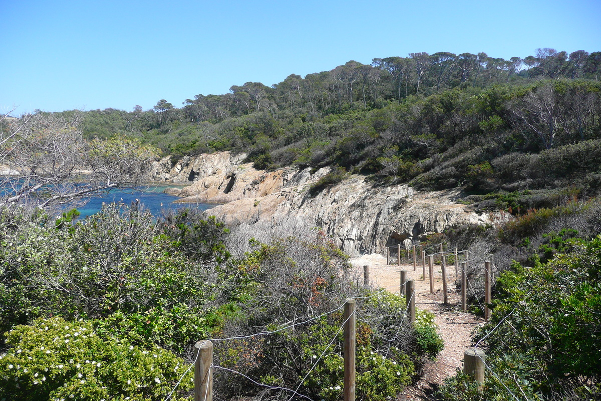 รูปถ่าย ฝรั่งเศส(France) เกาะปอร์เกอรอล(Porquerolles Island) แหลมเลอแก็ง(Pointe du Lequin) 2008-05 8
